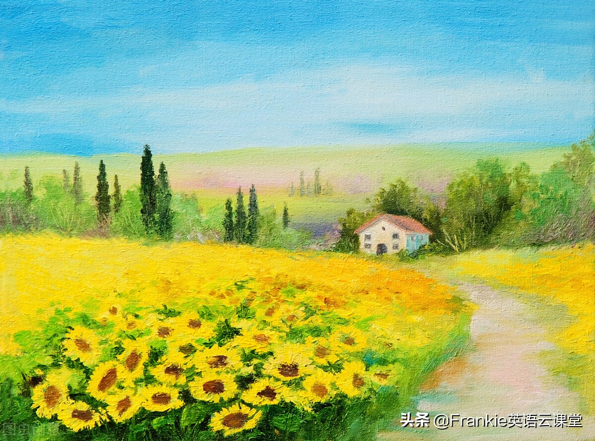 中考英语阅读理解的体裁,中考英语阅读理解二十篇