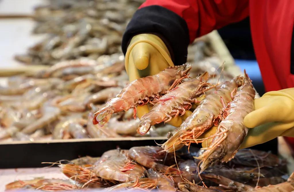 这就是天津话,这就是天津卫原版