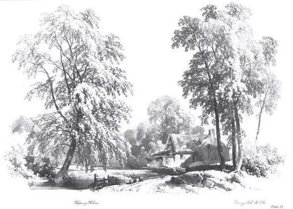 不会画风景咋办,不会画速写怎么办