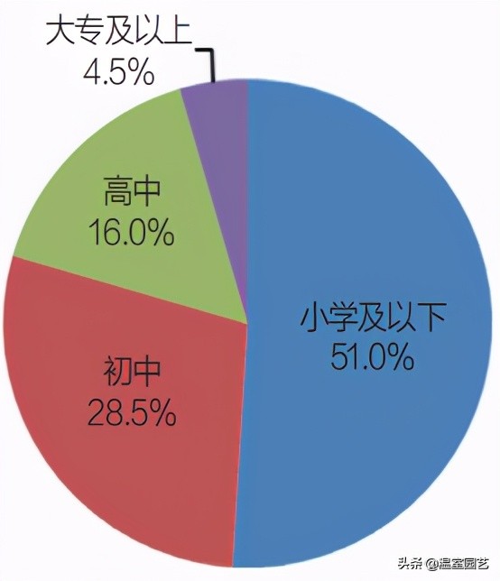 草莓电商是怎么赚钱的,电商发展对城市的影响