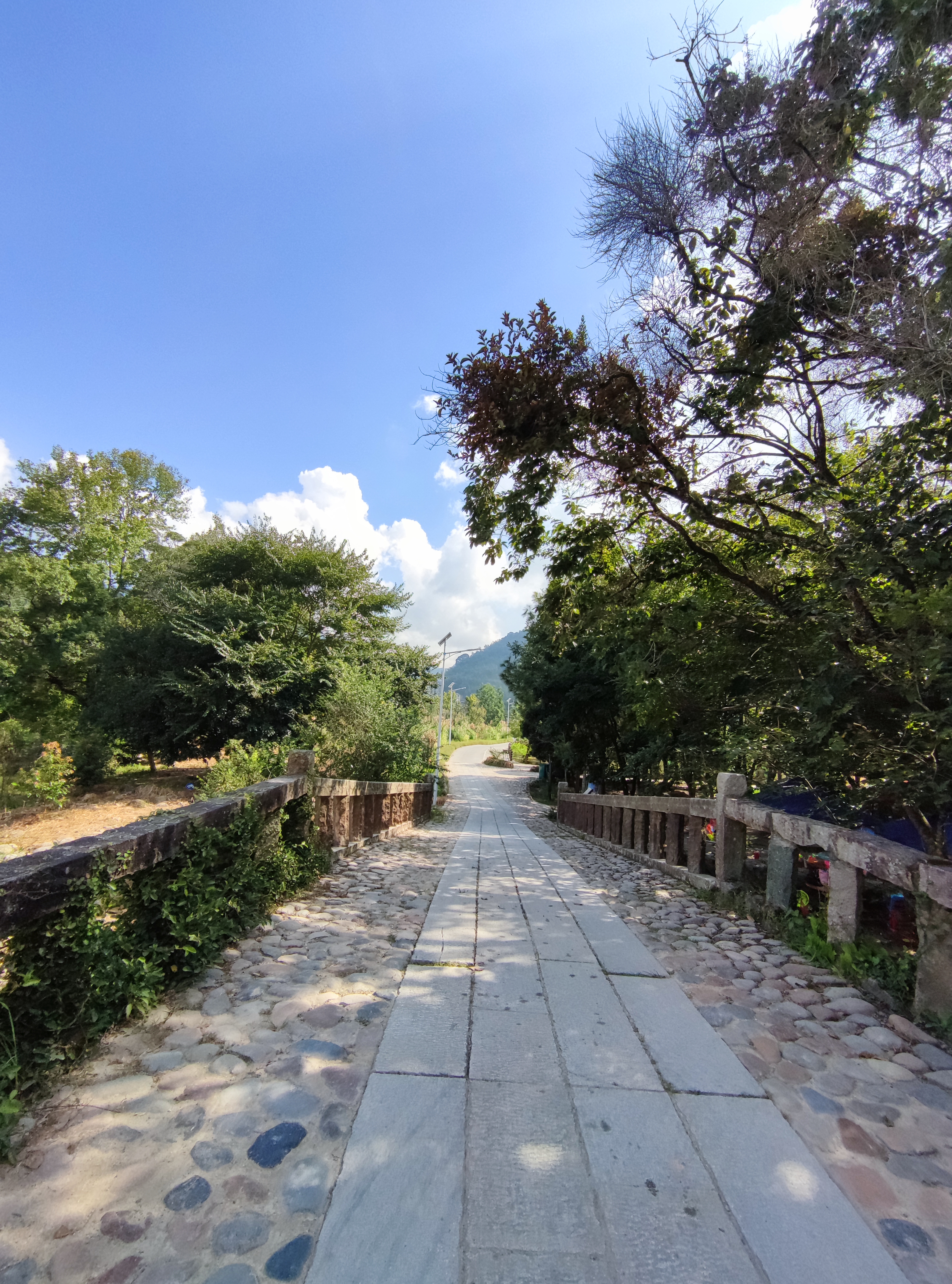 青山网红村,寿山九峰村有农家乐吗