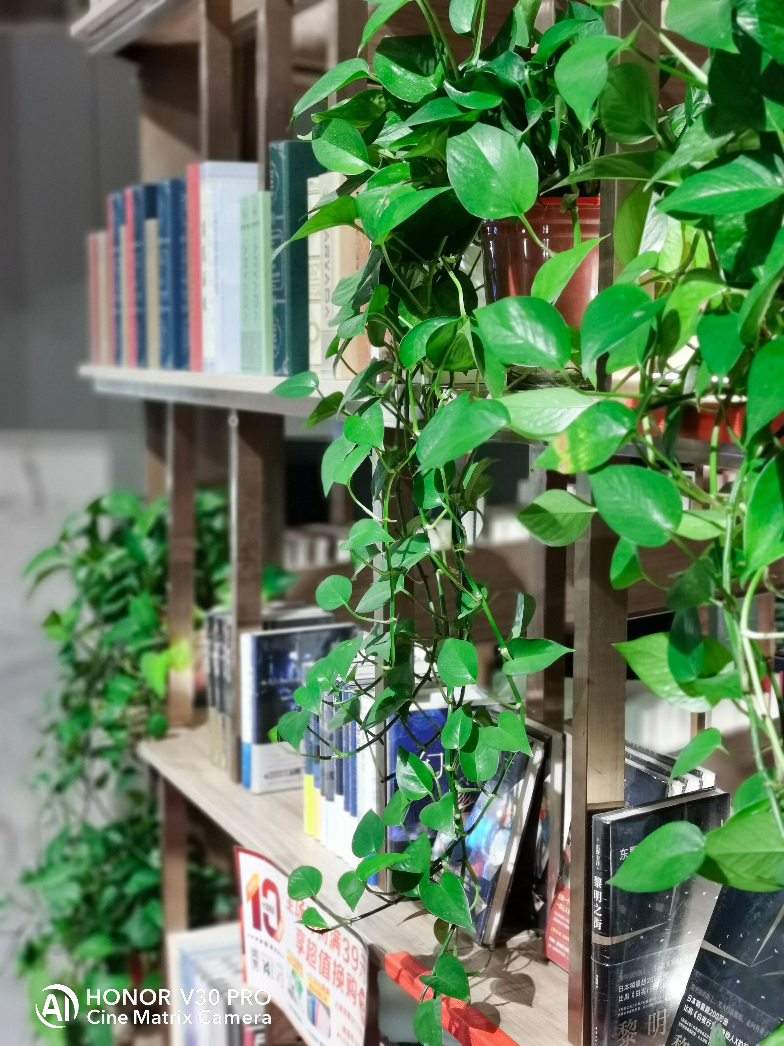 荣耀v30pro相机各种最佳效果设置,荣耀v30pro和荣耀30pro对比拍照