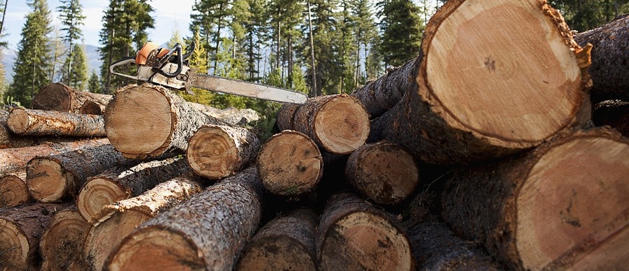 儿童家具板材,儿童房间家具用什么板材