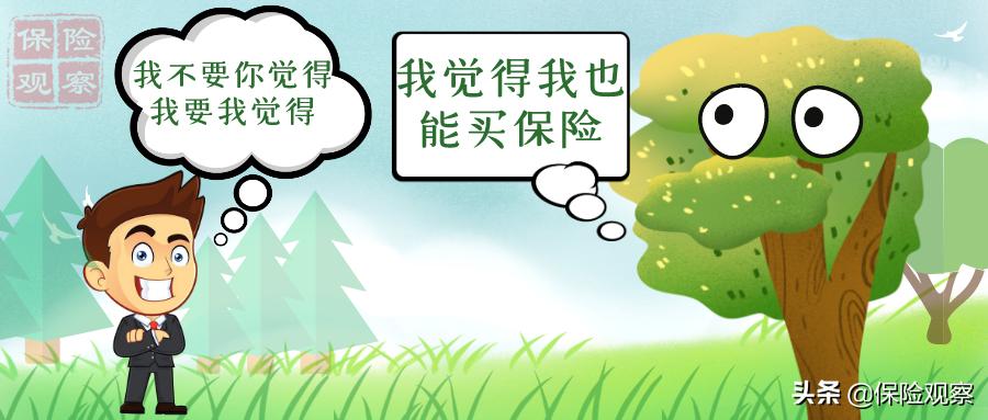 关于“树”能不能买保险的探究之旅