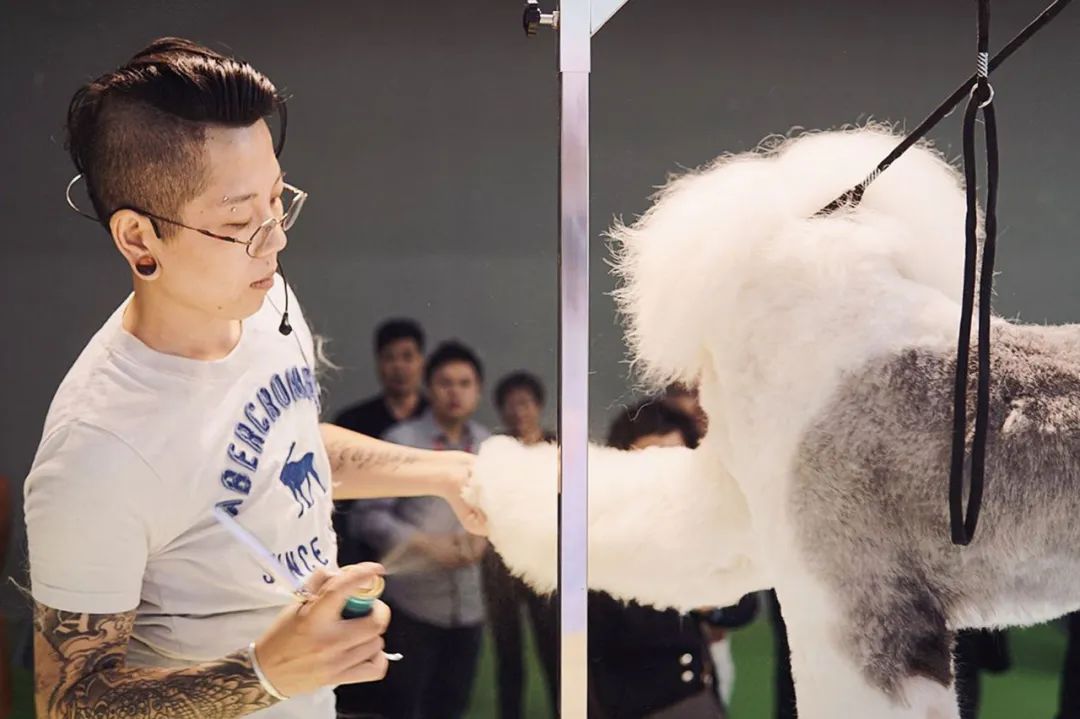 互联网大厂情侣辞职，爆改12㎡房车：不买房也可以很快乐