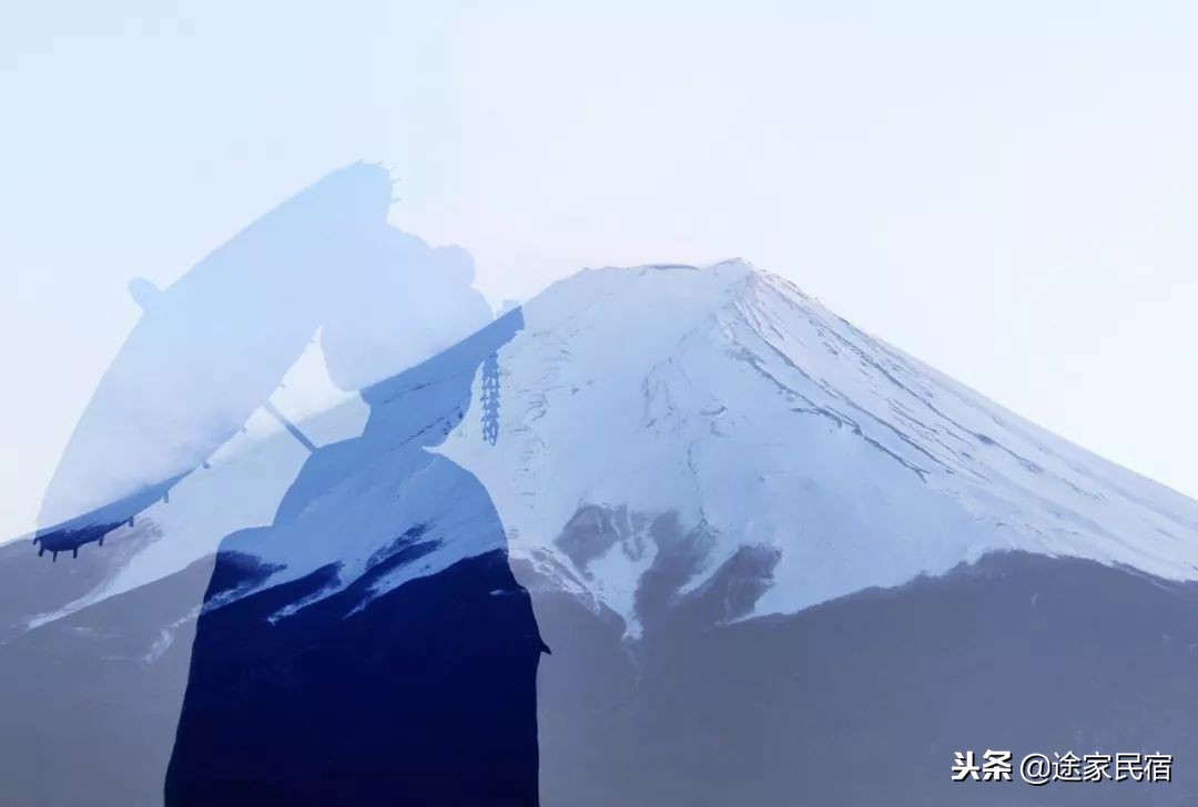 代购内幕视频,日本代购被骗怎么处理