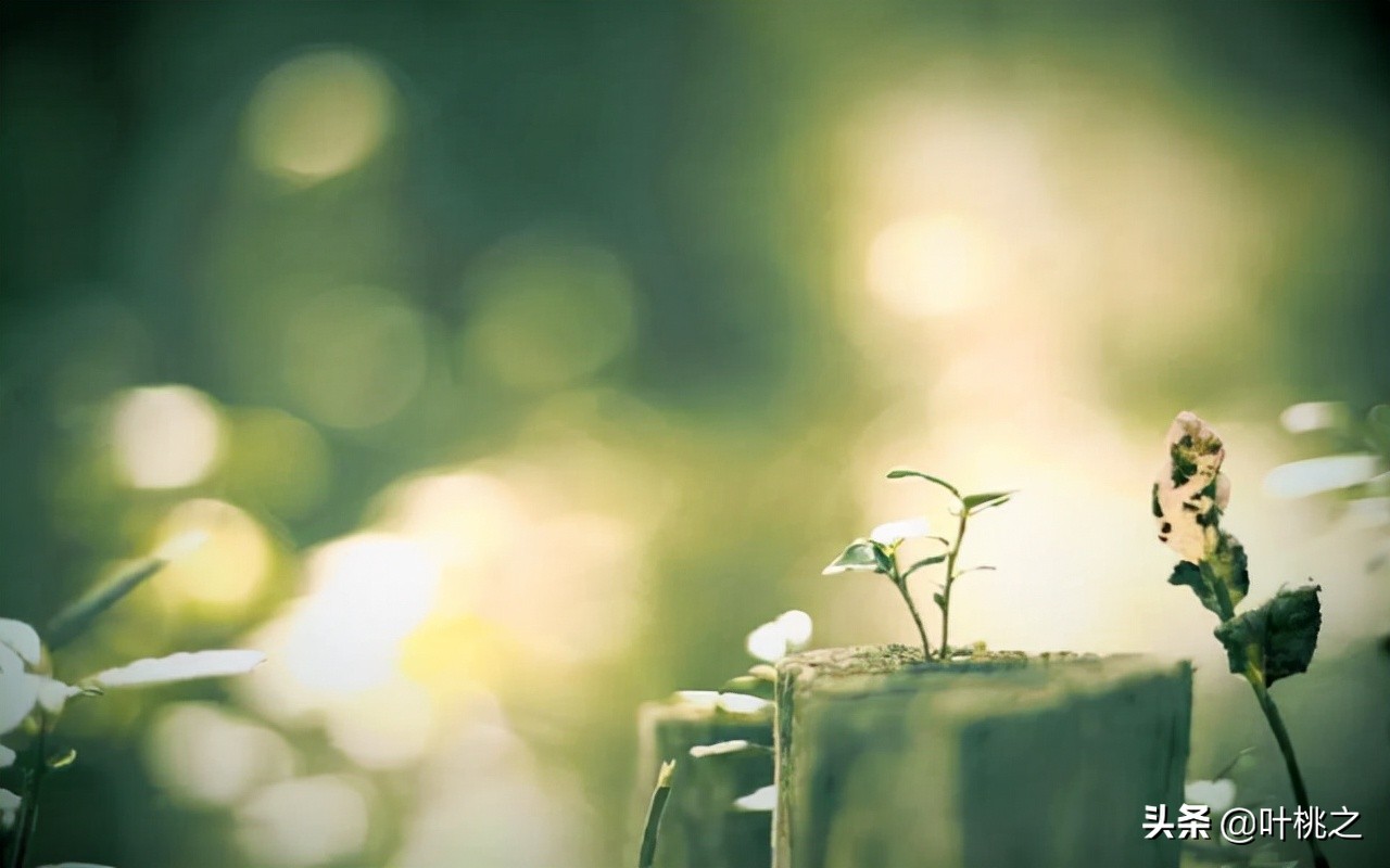 50岁人生才刚开始,真正的人生从50岁开始