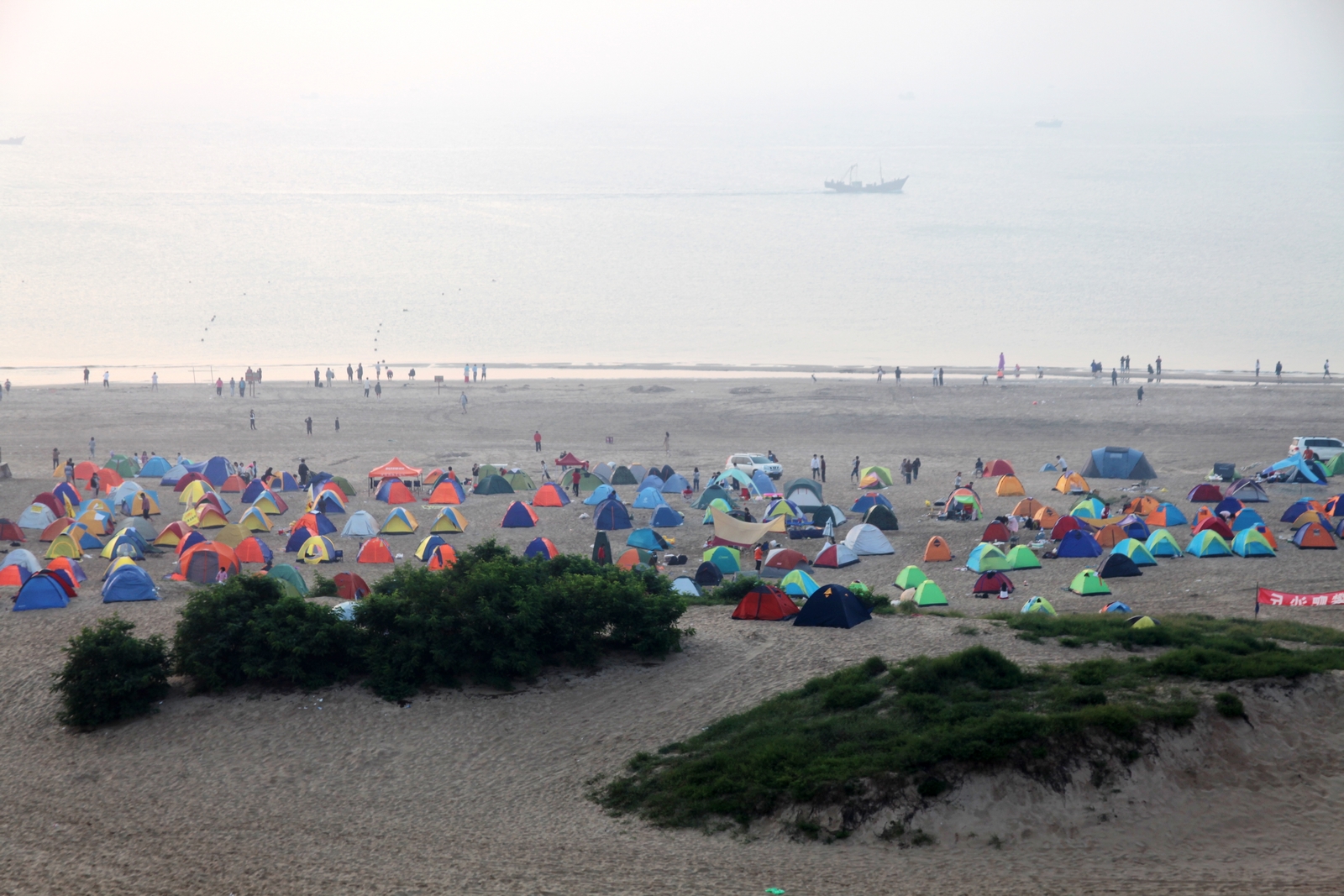 纪念失去后的重生,纪念失去的一切