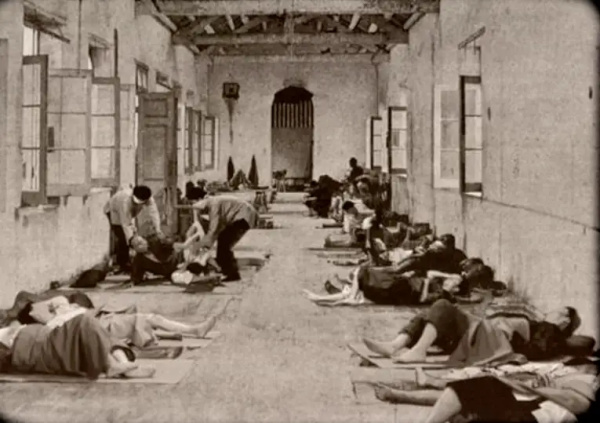 伍连德防治鼠疫为何成功,伍连德抗鼠疫共几年