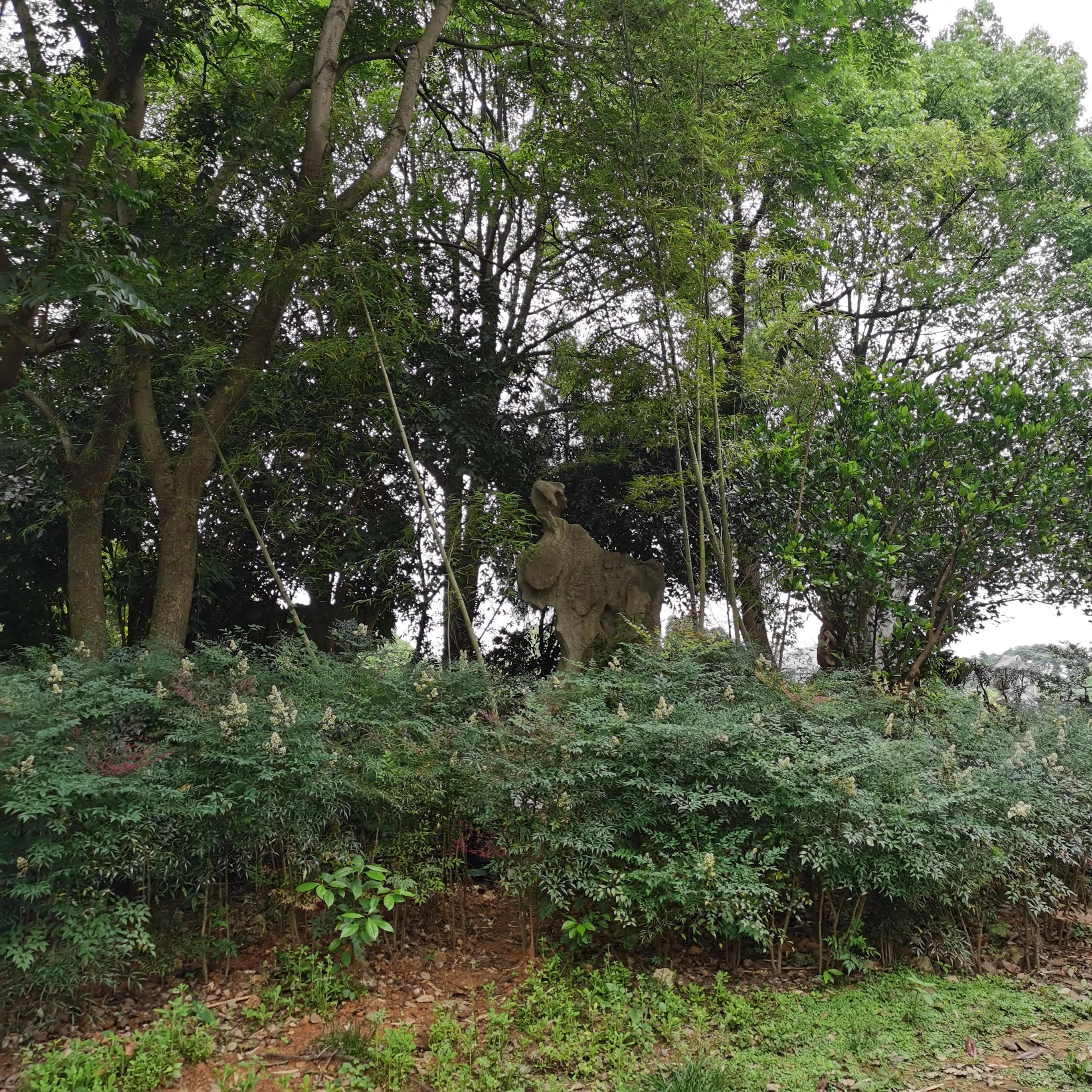 向南方和向北方,登上山顶看美景贵州黄果树瀑布