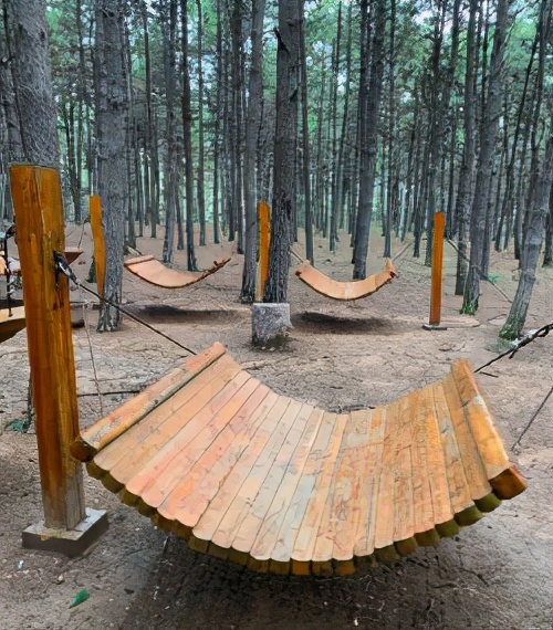 今起东北虎园大门票半价!近百种珍稀动物,带你走进现实版动物世界!