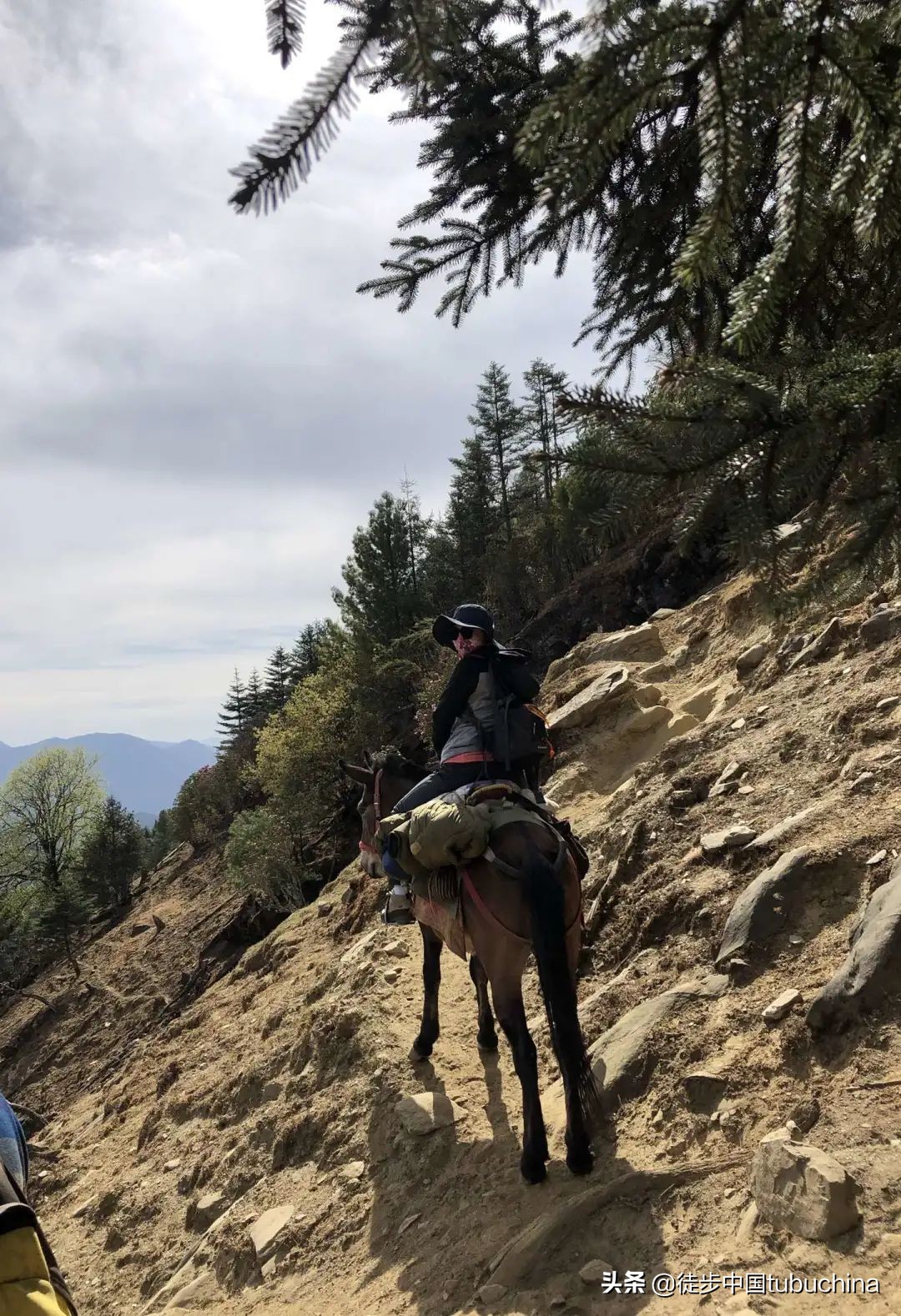 给我一个机会去爱你,给我一个机会让我去爱你