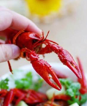 手把手教你一个月入过万的方法,月入过千的诀窍