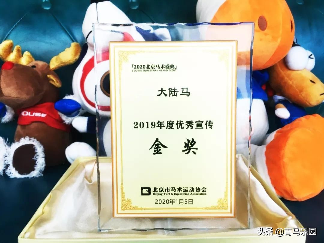 浙江嘉兴市体育局领导一行走访新冠疫情下的九龙山马会俱乐部