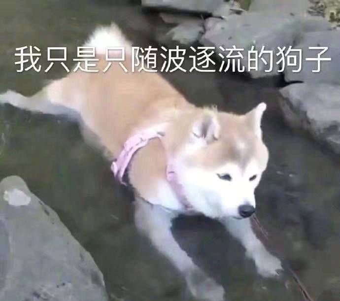 美术差生怎么教,美术集训老师很不好怎么办