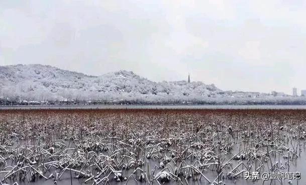 冬季情侣旅行地方推荐,情侣冬天适合去哪旅游