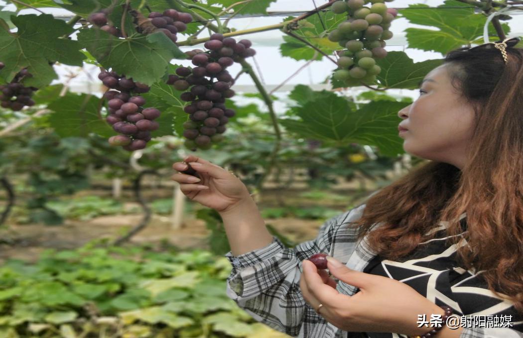 射阳县各村名单,射阳县各乡镇村名单