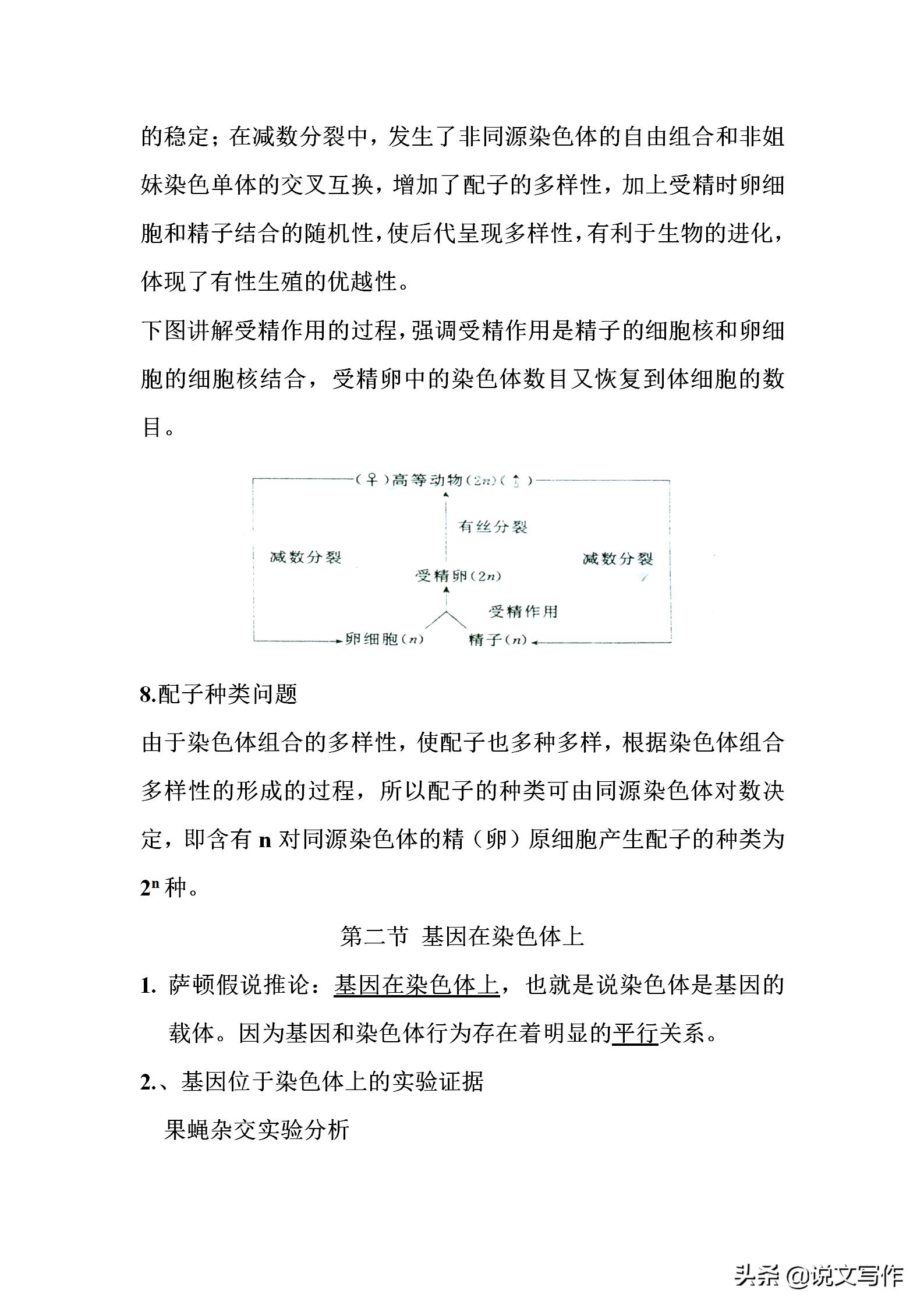 高中生物必修二减数分裂有丝分裂,人教版高中生物必修二课本电子版