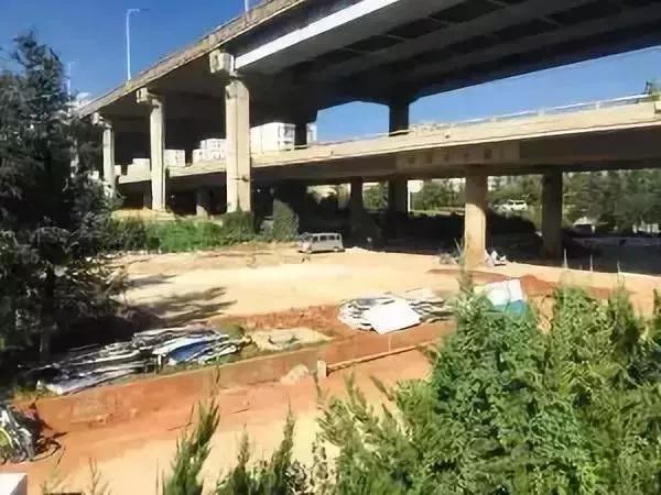 好消息昆明高新区,好消息昆明7个公园免费开放