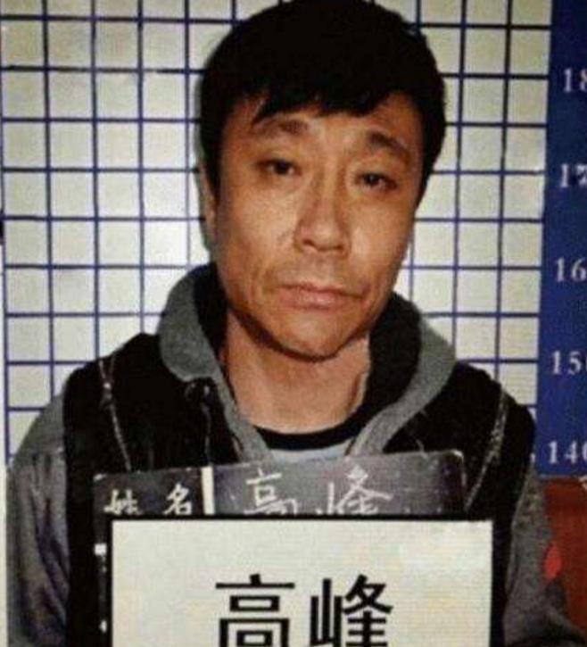 那英高峰结婚了吗,足球高峰那英有孩子吗