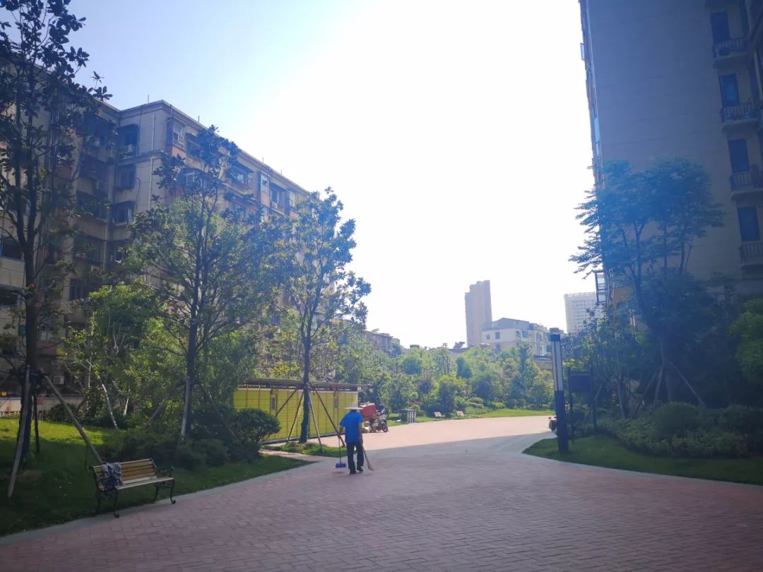 有钱住城市没钱住农村,农村没人居住的房子拆了赔多少钱