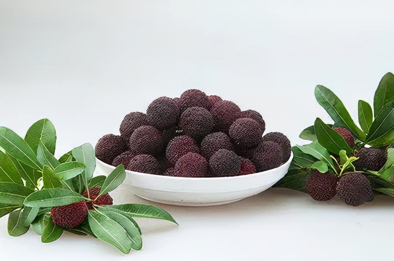 宁波适合种什么水果,宁波南洋水果