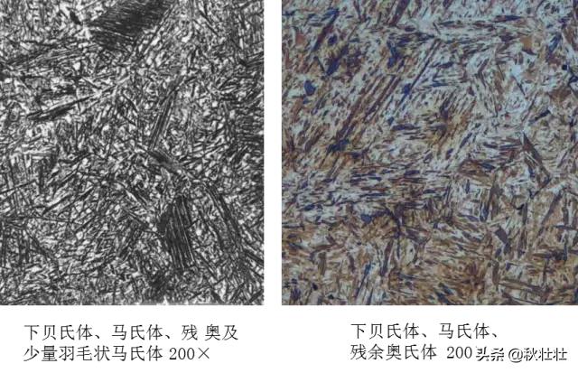 马氏体和奥氏体金相图片,马氏体和珠光体金相区别