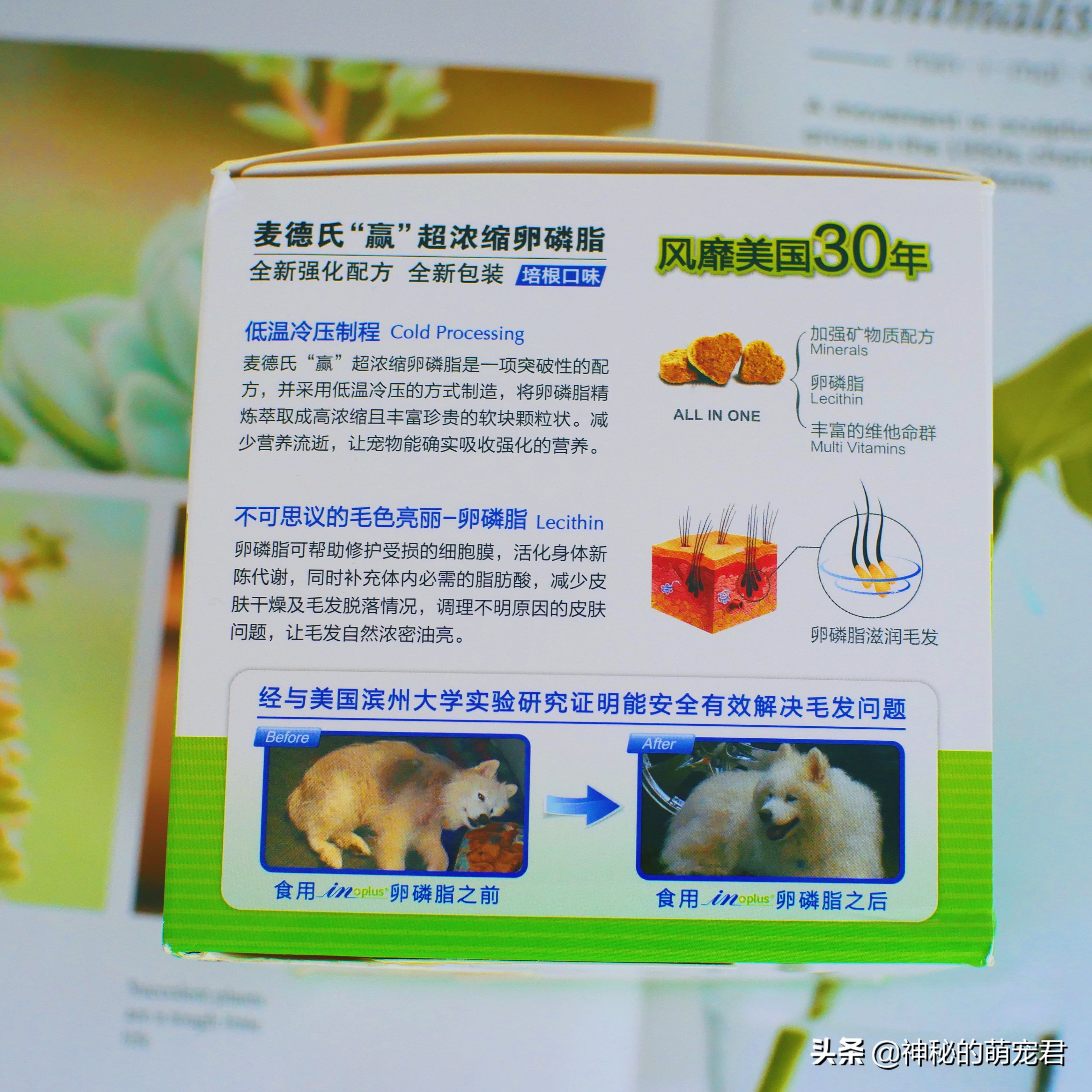 狗狗麦德氏卵磷脂,狗狗麦德氏卵磷脂一天吃多少粒