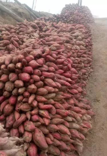 “团团大集”已近尾声，还没购置年货的小伙伴继续购购购