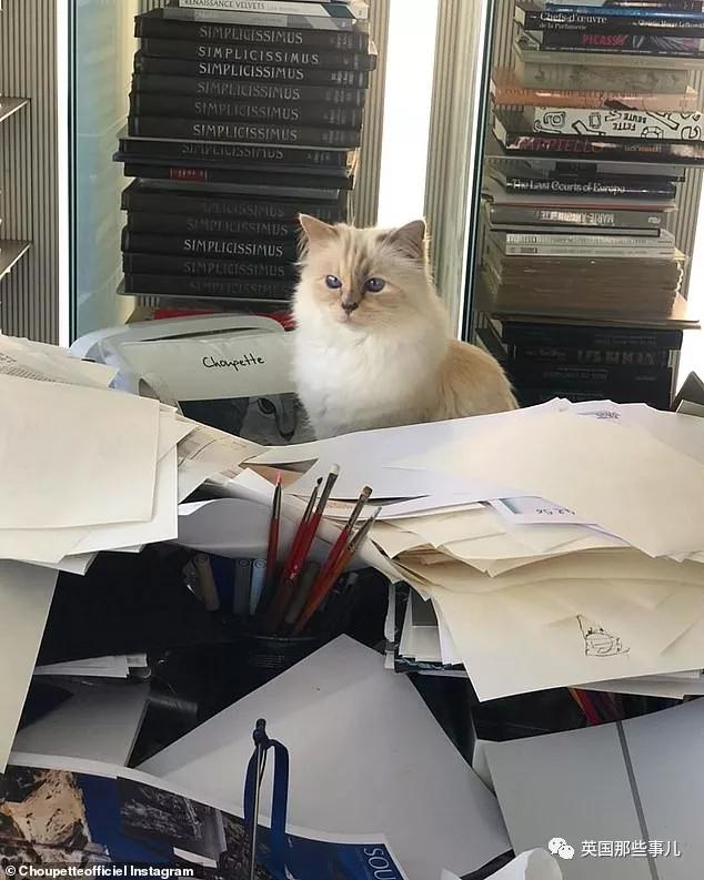 老佛爷的猫继承多少遗产,老佛爷去世后财产留给了一只猫