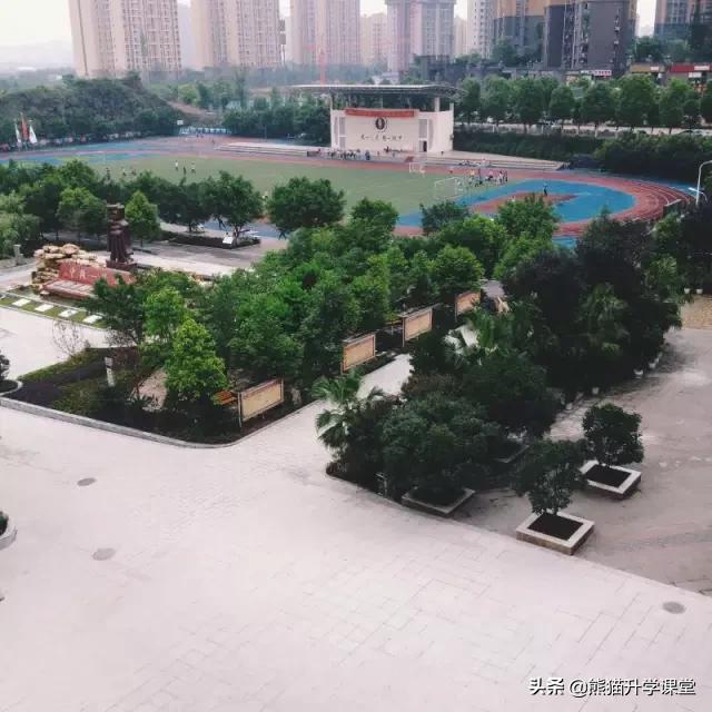 重庆大学城第一中学,重庆大学城第三中学校