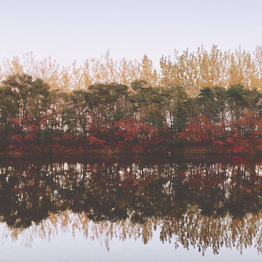 辽宁省盘锦市有哪几个区,辽宁省盘锦市所辖区有哪些