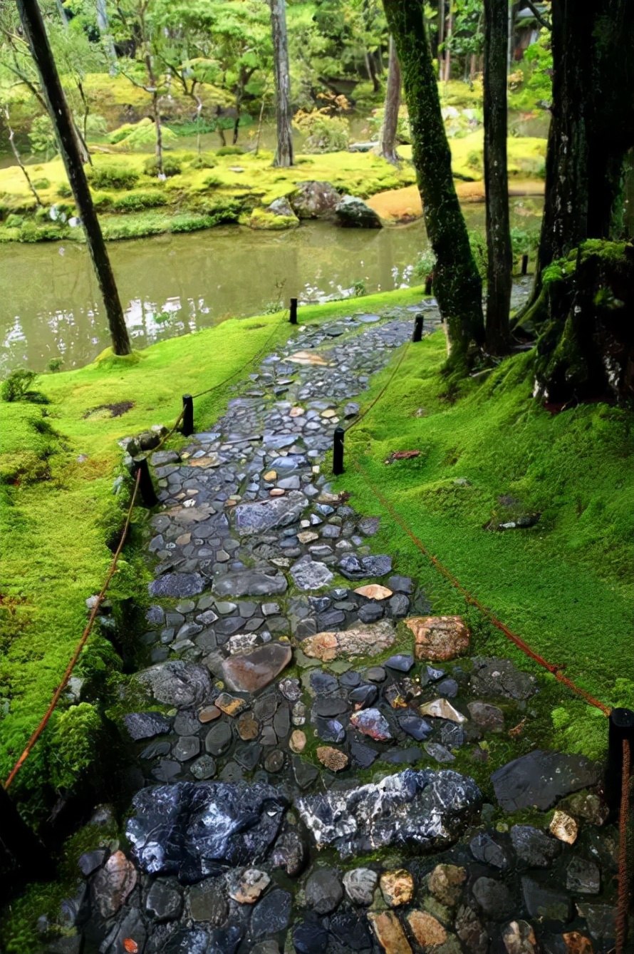 螺蛳上的青苔怎么处理干净,青石青苔怎么处理