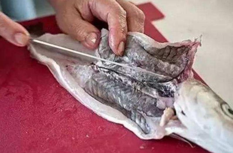 鱼怎么处理才干净又简单,鱼的处理小技巧