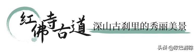 绍兴古道攻略一日游自由行,此生必去的三条国道