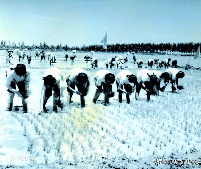鱼台历史影像,鱼台鱼城历史