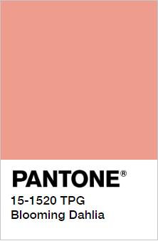 夏季马卡龙色系穿搭非常的小清新,马卡龙色系搭配给你满分青春感