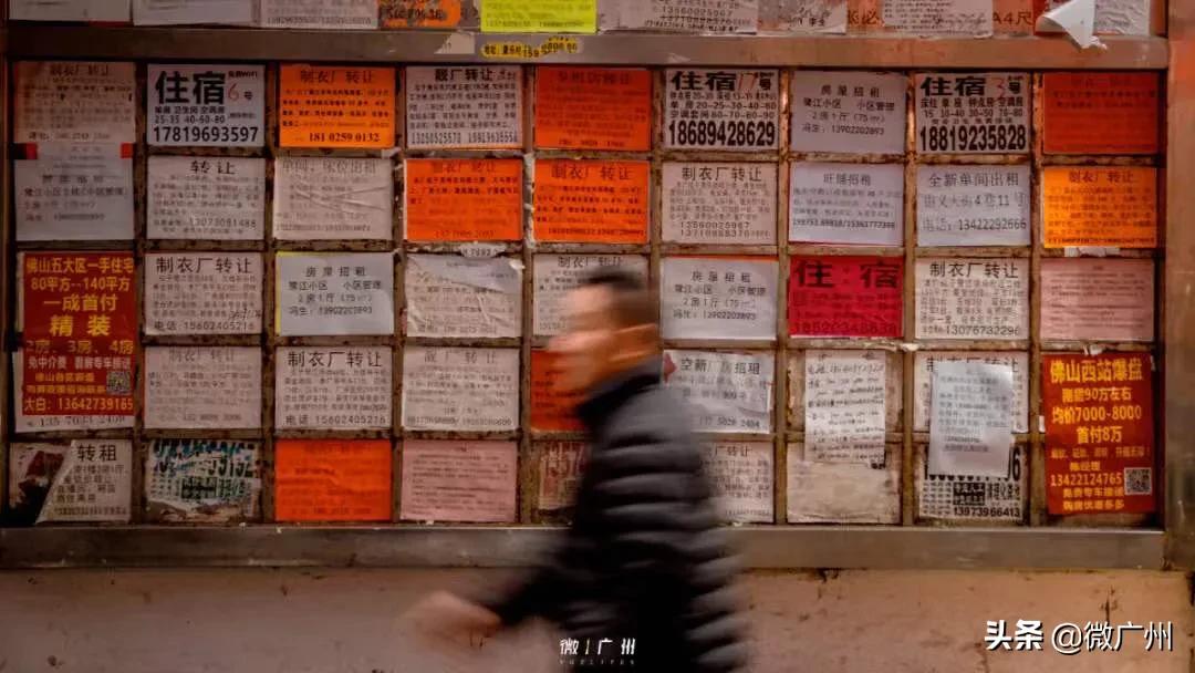 用10张照片结束我的深圳之旅,用39张照片结束我的武汉之旅