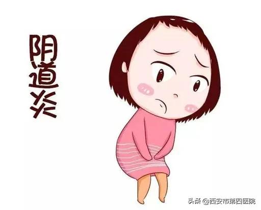 健康科普养生汇,健康科普堂备孕