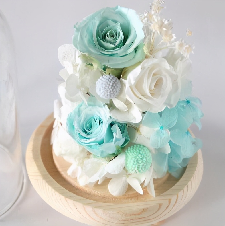 哪种花叫永生花,有种花叫永生花