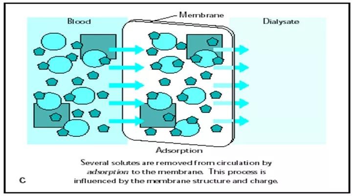 到底是透析好还是换肾好,到底血透好还是腹膜透析好