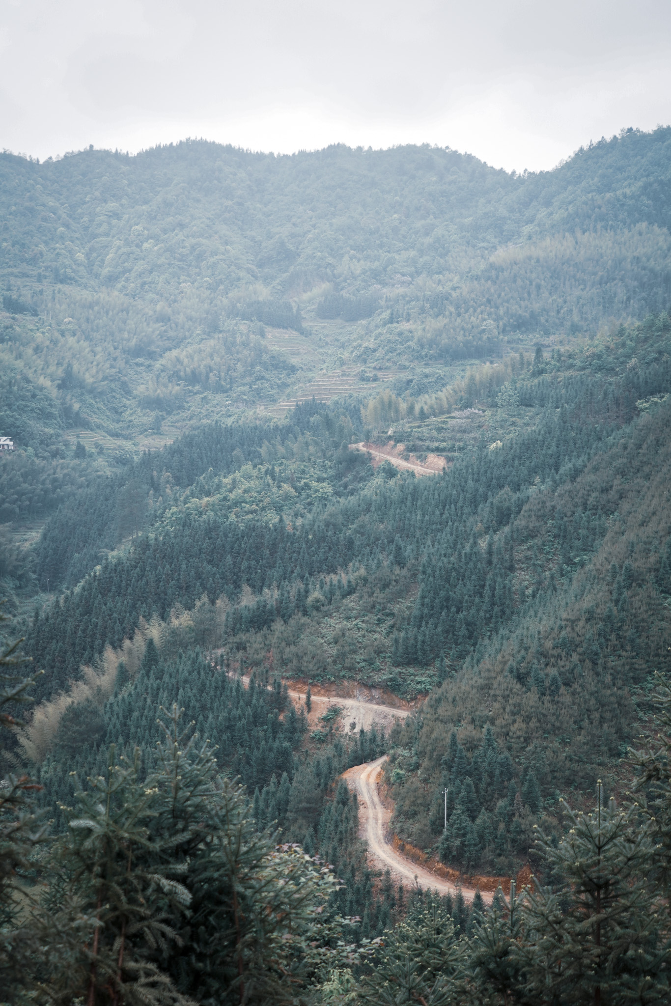 郴州仰天湖民宿多少钱一晚,郴州民宿一晚多少钱
