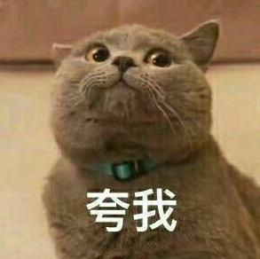 来看看你家猫在古代叫什么名字,古代猫咪花色名称大全