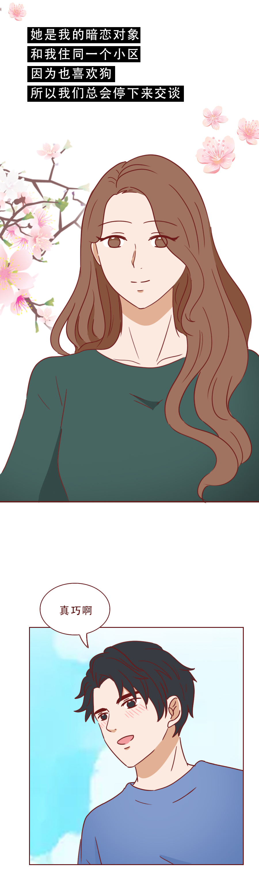 捡回来抑郁的猫,捡回一只小猫原居民抑郁了