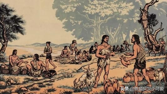 商铺视频故事,讲述商铺