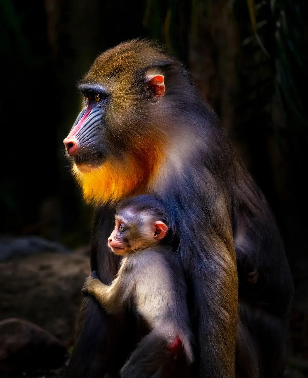 世界摄影构图大赛作品,摄影获奖的技巧和方法