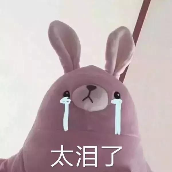 福懋宠物医院驱虫,福懋宠物医院母狗绝育