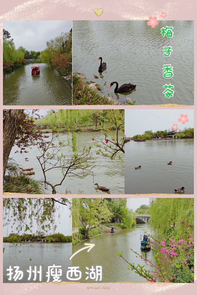 春游扬州瘦西湖,雨天游扬州瘦西湖