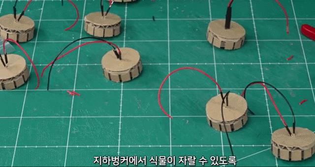 身价300万的仓鼠外网走红！住3层电梯豪宅，丰富娱乐，人不如鼠啊