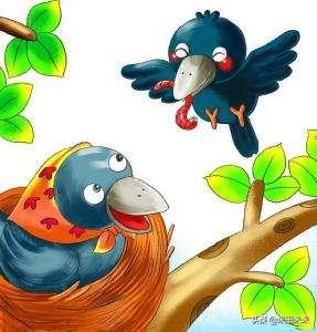 乌鸦喝水续集给我们什么启发,乌鸦喝水后续启发